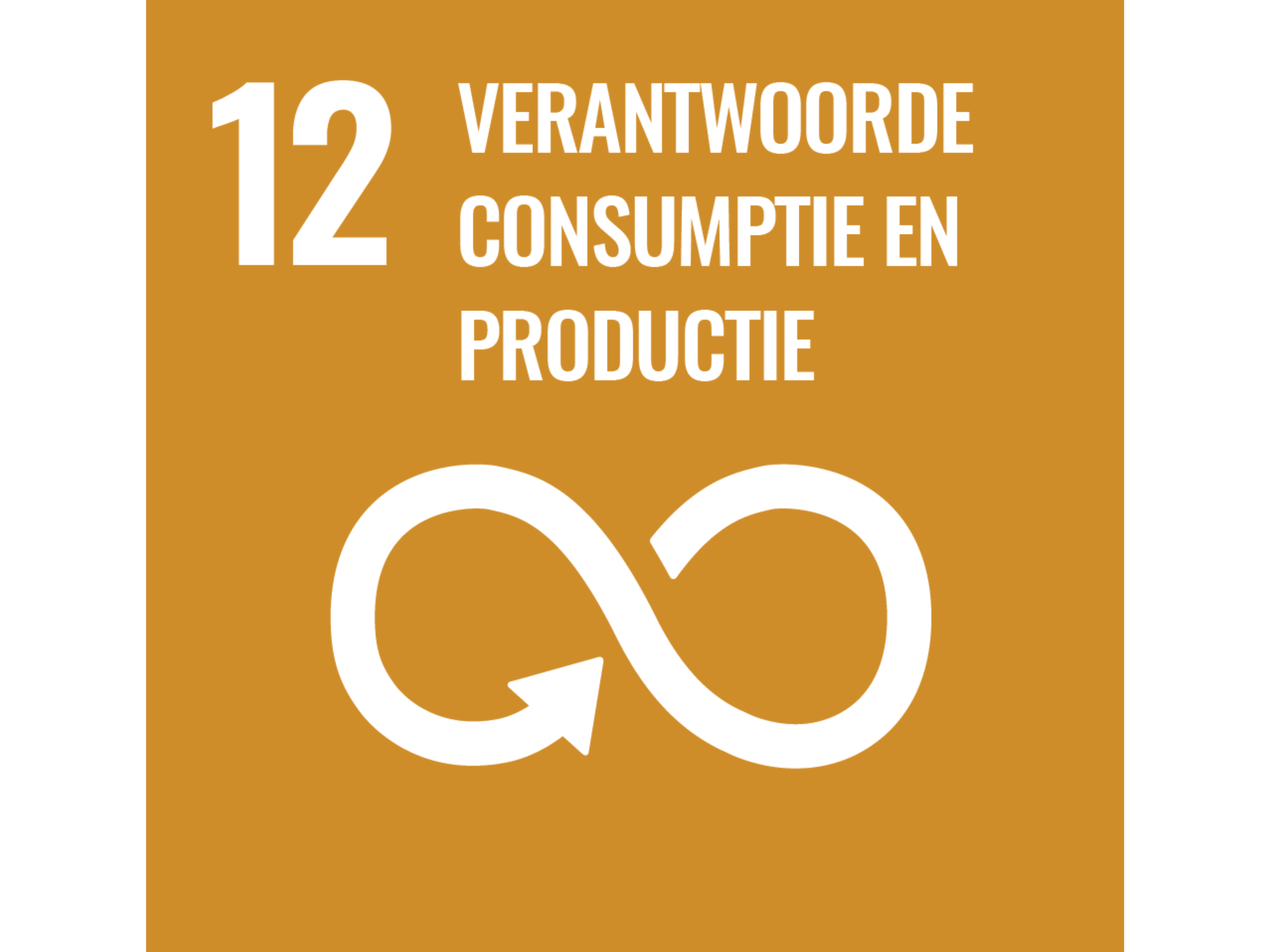 MVO SDG 12 - Verantwoorde Consumptie en Productie