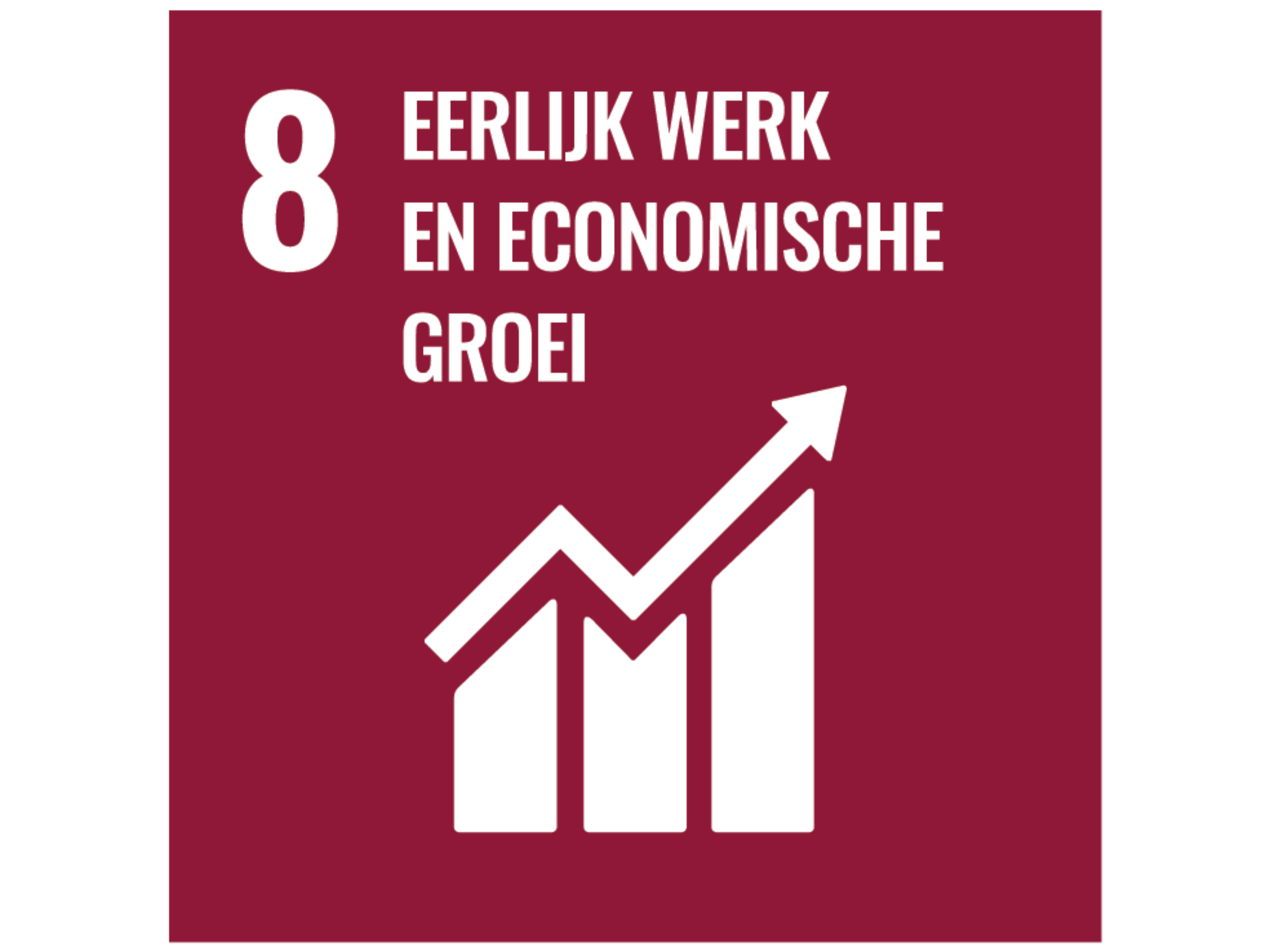 SDG 8: eerlijk werk en economische groei image